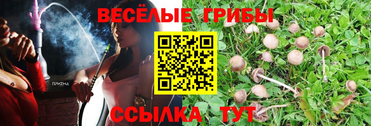 Псилоцибиновые грибы ЛСД Артёмовский